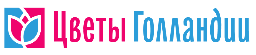 ЦГ_Логотип_Горзонт_Оригинал_Светлый фон.png