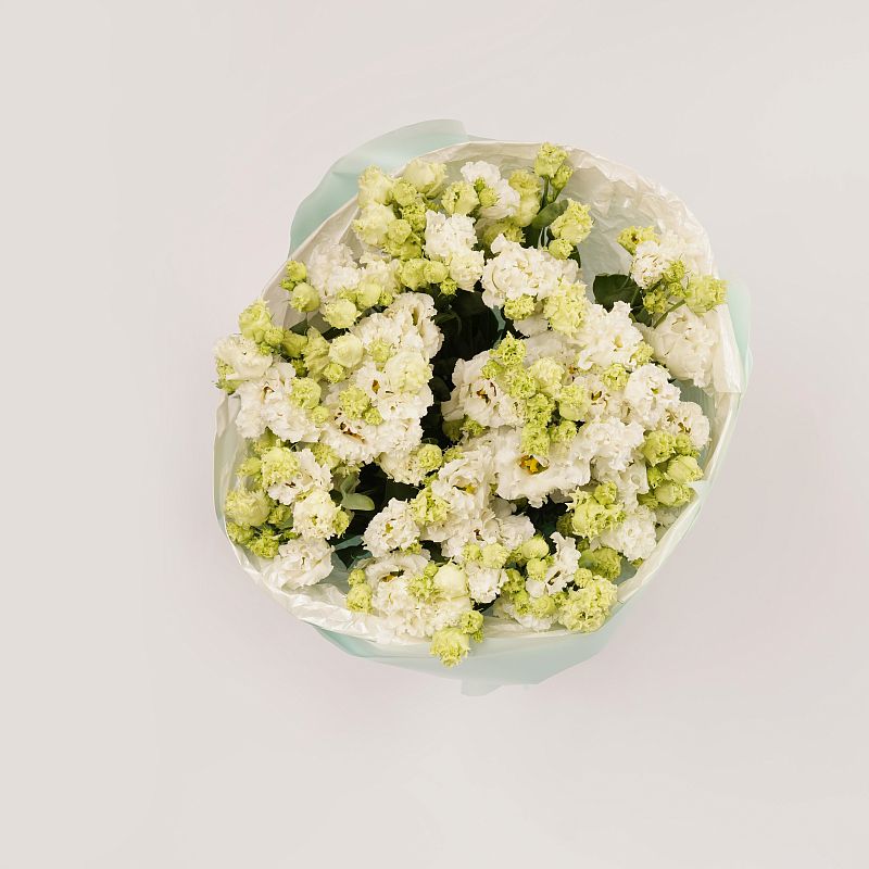 Белый лисиантус Алиса L фото