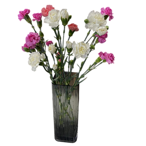 Кустовая гвоздика