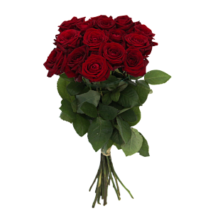 Роза Ред Наоми