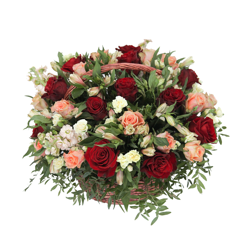 Феерия фото