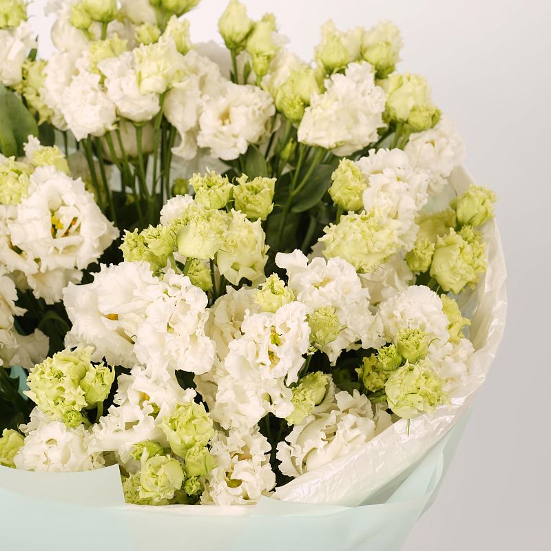 Белый лисиантус Алиса L фото