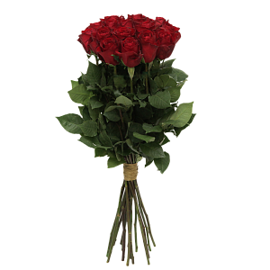 Роза Мадам Ред