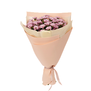 Розовая нежность S