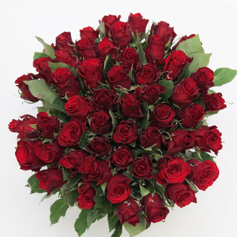 Букет из 51 красной розы Ред Тач 35 см фото