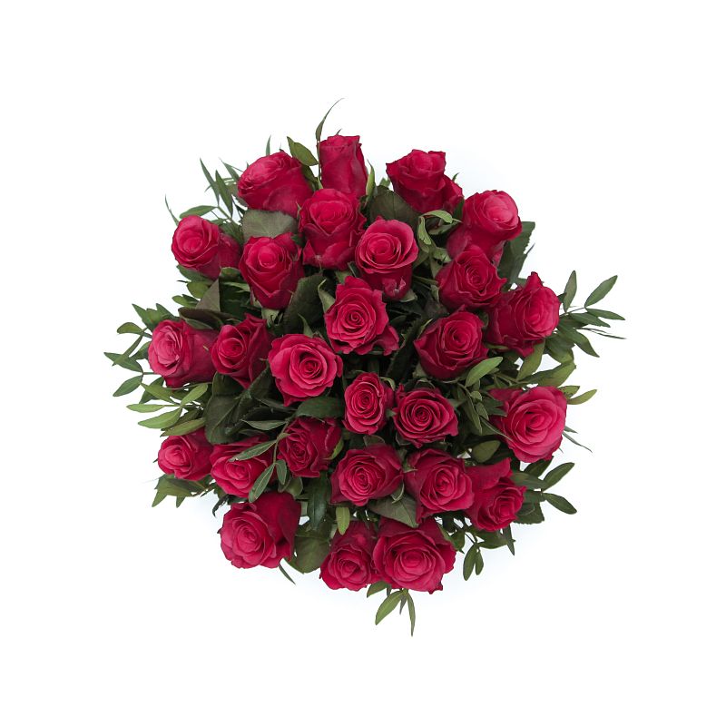 Восторг фото