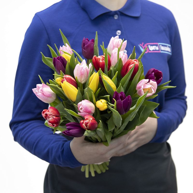 25 разноцветных тюльпанов фото