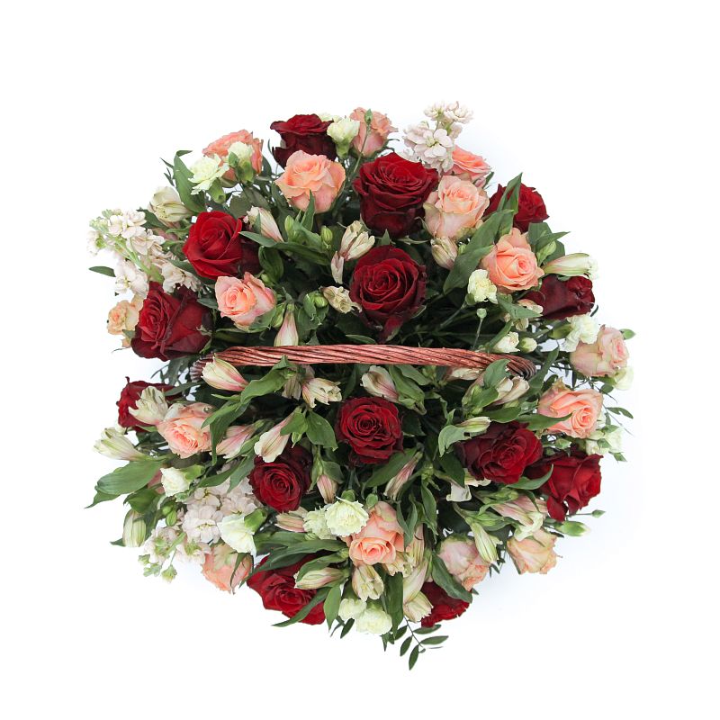 Феерия фото