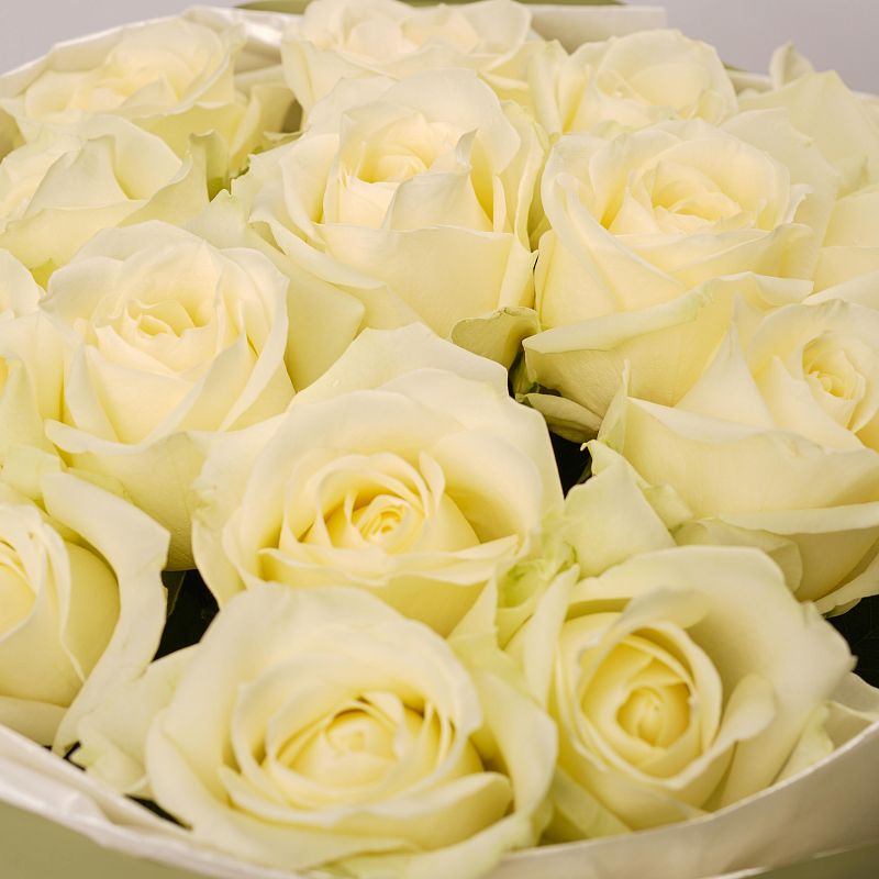 Букет из 15 роз Аваланч 50 см фото