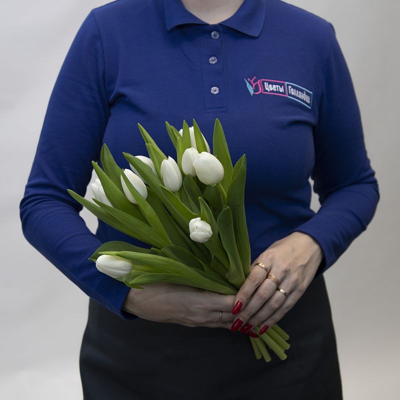 11 белых тюльпанов фото