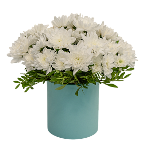 Чистая душа