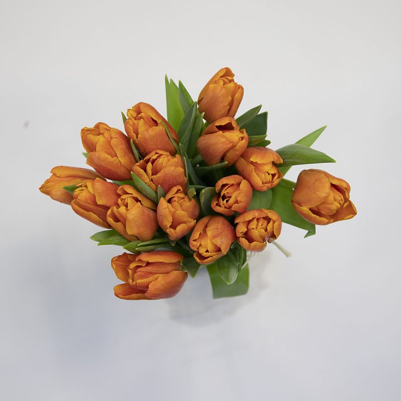 Букет оранжевых тюльпанов фото