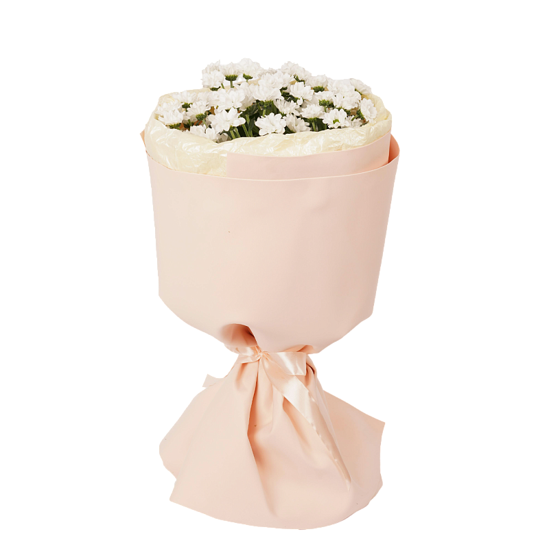 Белая нежность S фото