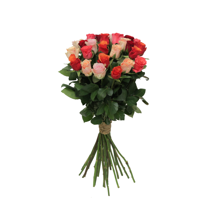 Букет из 25 разноцветных роз 60 см фото
