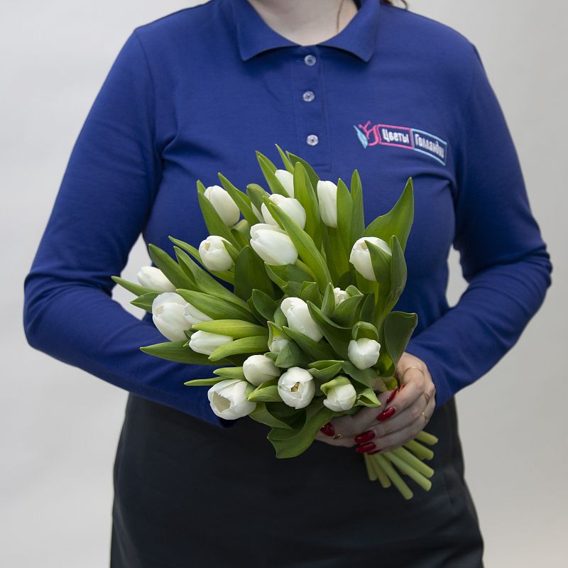 19 белых тюльпанов фото