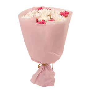 Ягодное настроение S