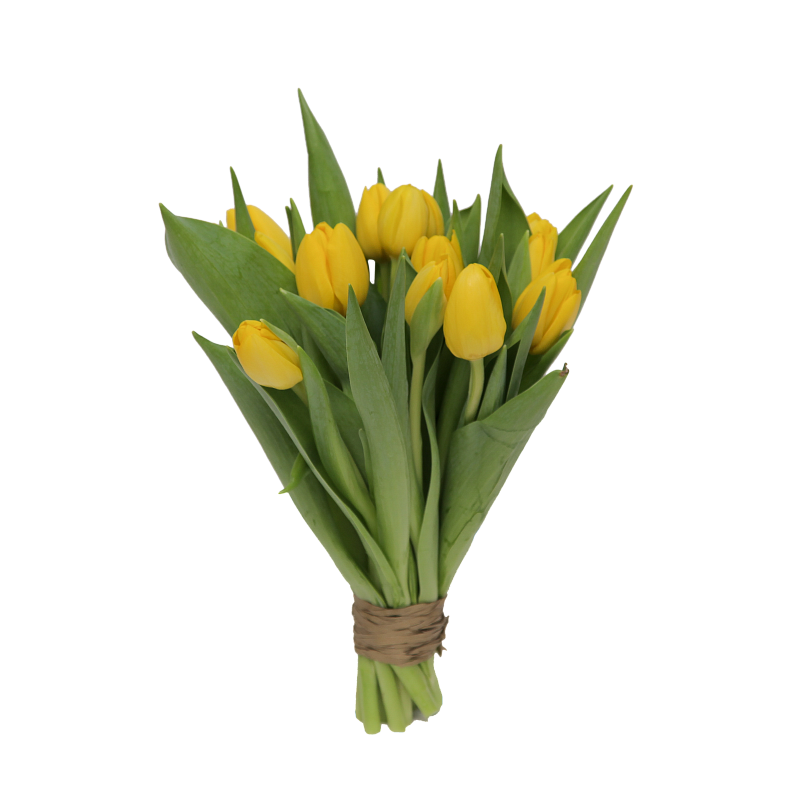 Букет желтых тюльпанов фото