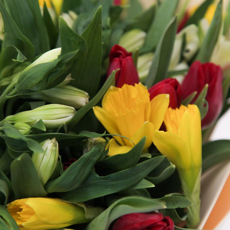 Краски полей фото