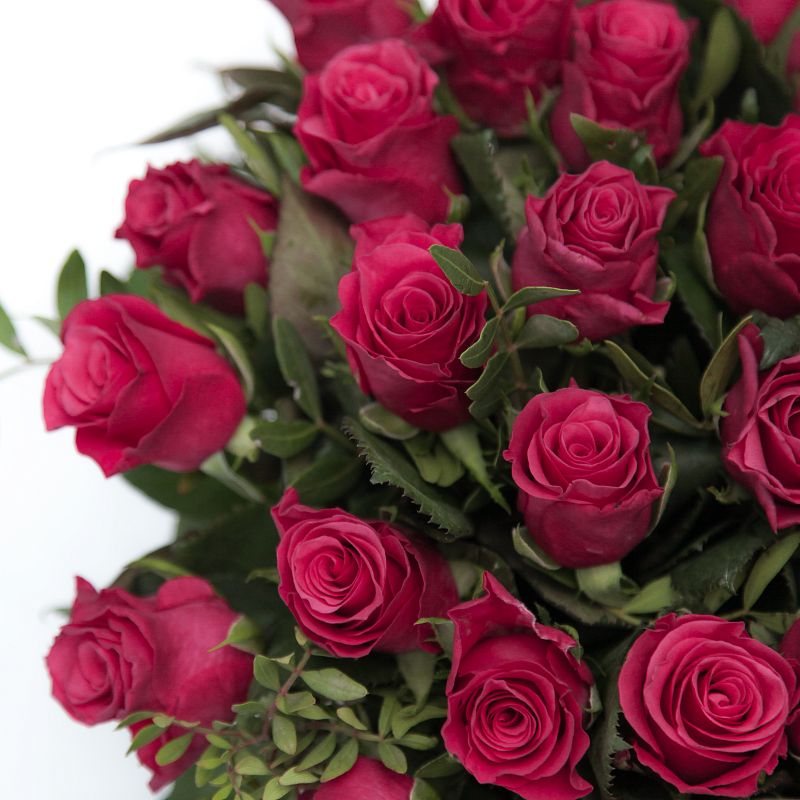 Восторг фото