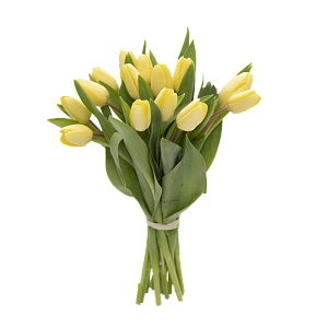 15 желтых тюльпанов