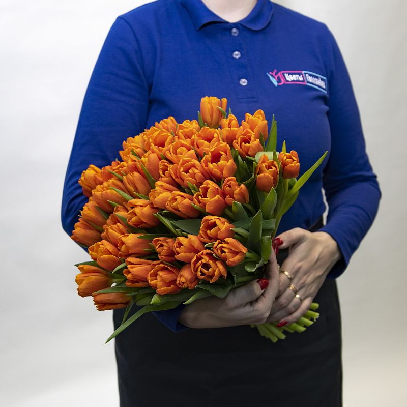 51 оранжевый тюльпан фото