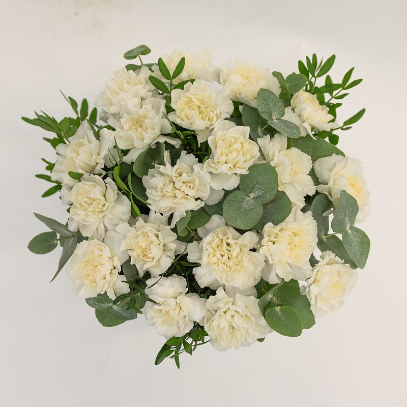 Лунный свет фото