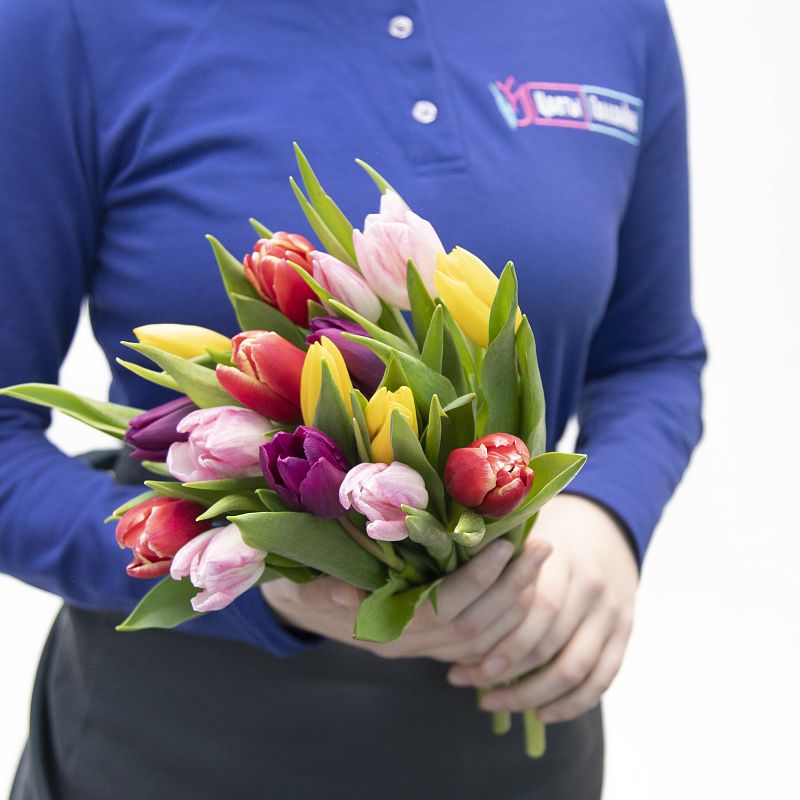 15 разноцветных тюльпанов фото