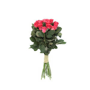 Роза Пинк Такаци