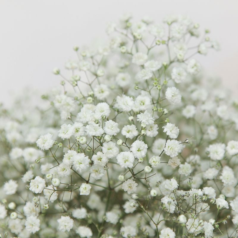 Воздушное облако Воздушное облако фото