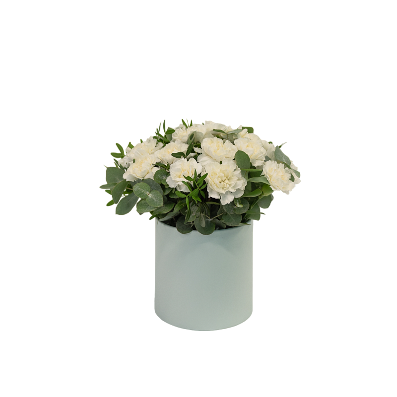 Лунный свет фото