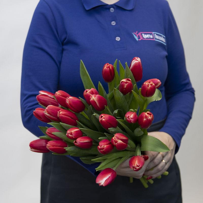 25 красных тюльпанов фото