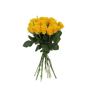 Роза Мунволк