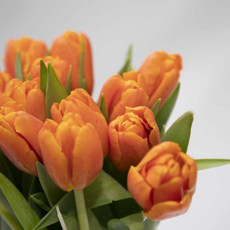 Букет оранжевых тюльпанов фото