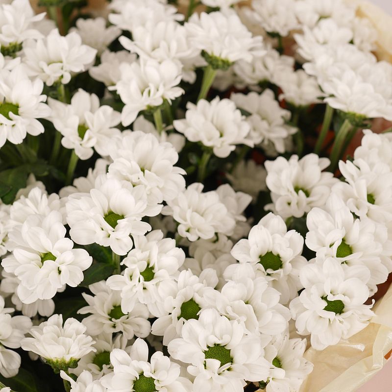 Белая нежность L фото