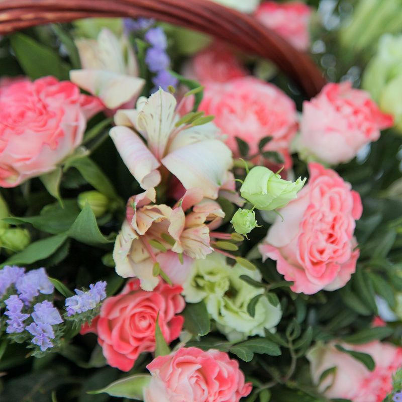 Фейерверк фото