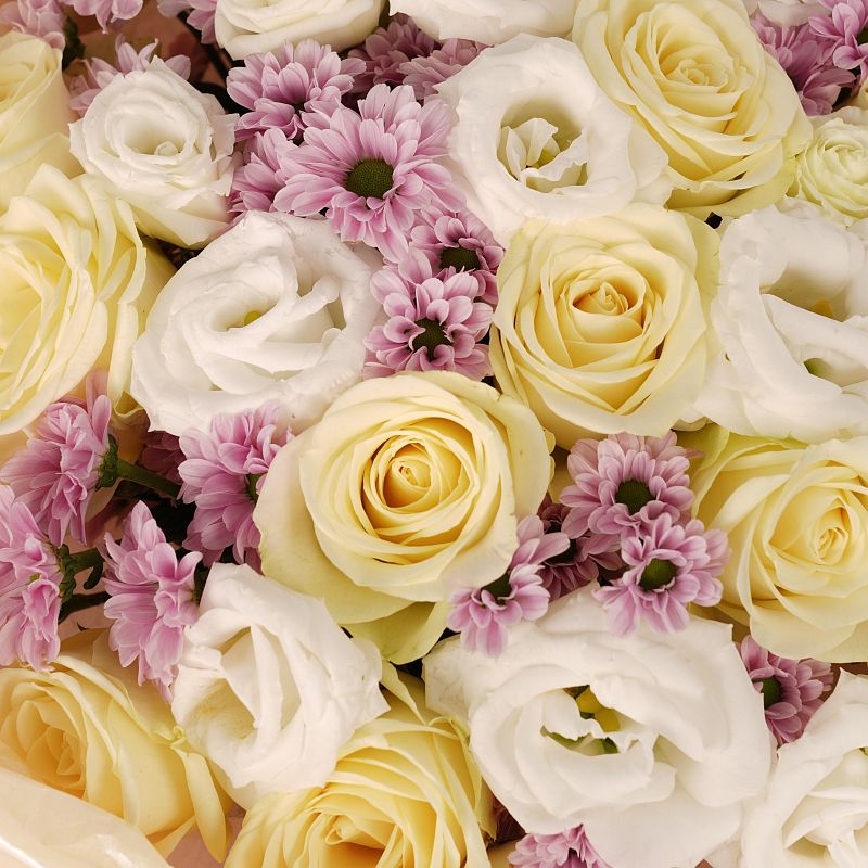 Аромат мечты L фото