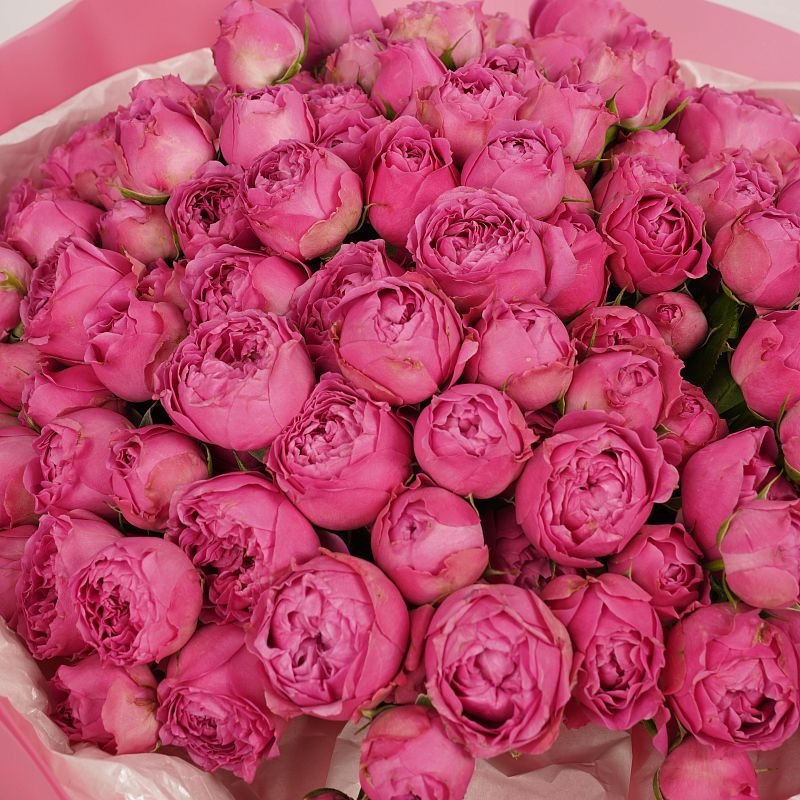 Малиновое суфле XL фото