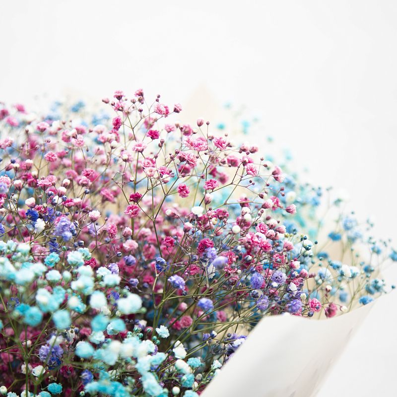 Цветное облачко Цветное облачко фото