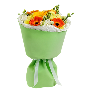 Солнечный зайчик M