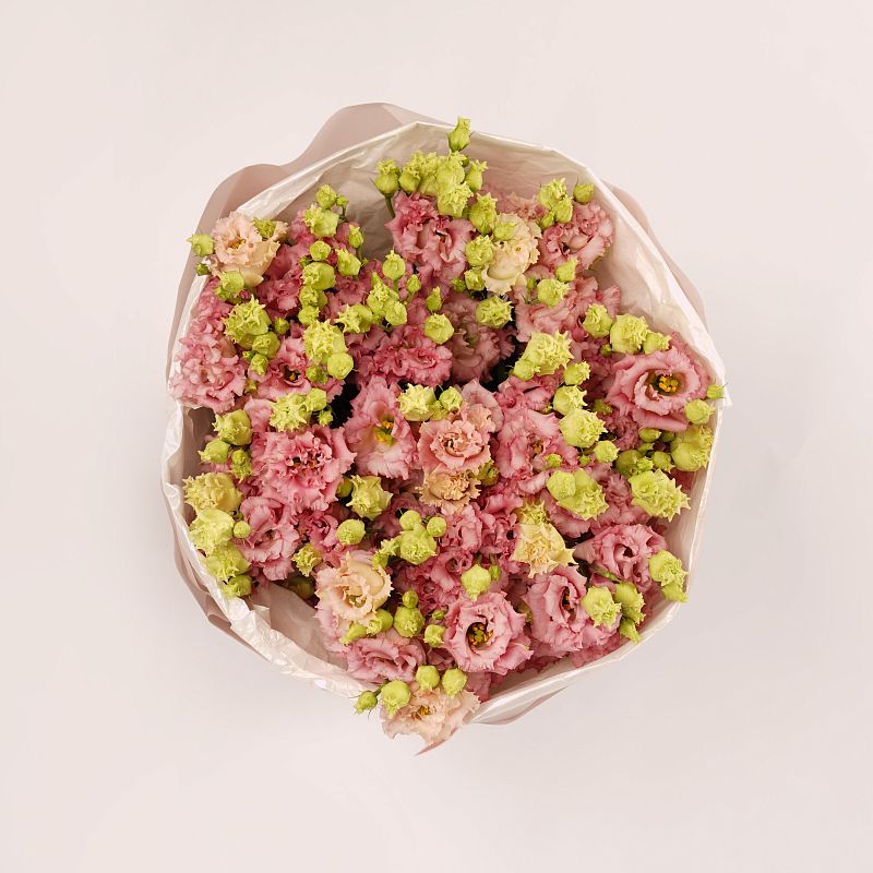 Розовый лисиантус Алиса L фото