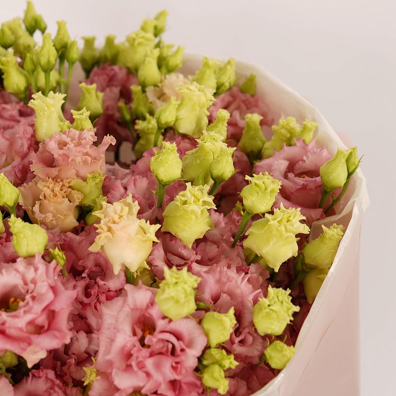 Розовый лисиантус Алиса L фото