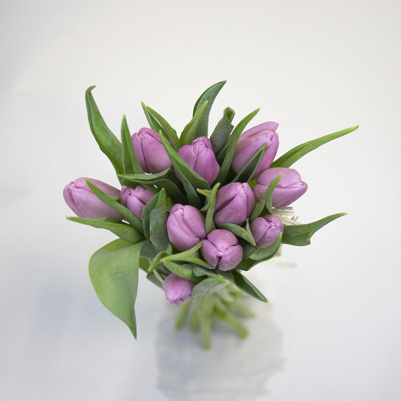 11 розовых тюльпанов фото