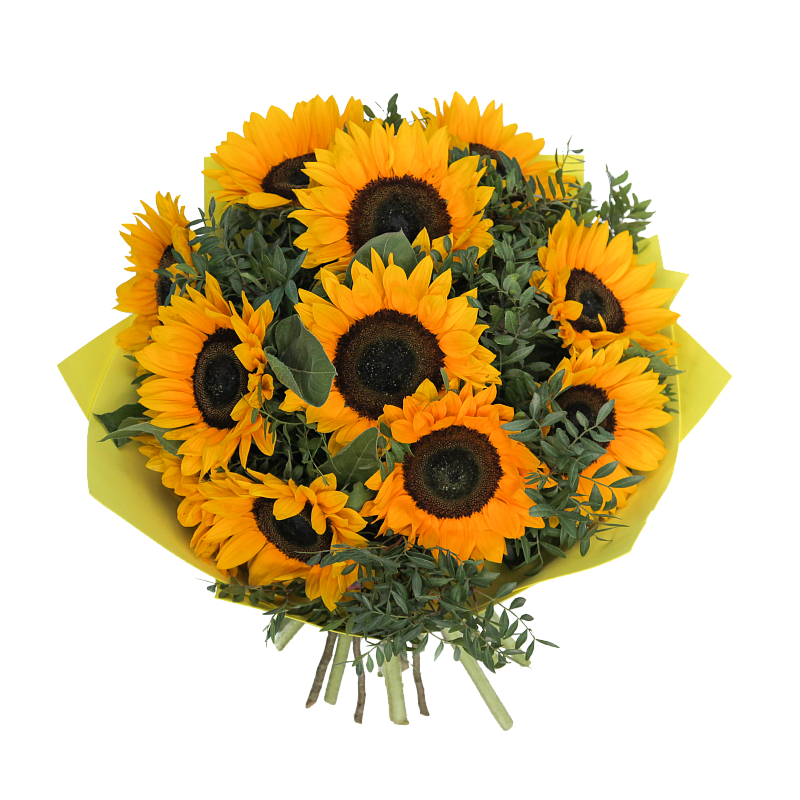 Солнечное настроение фото