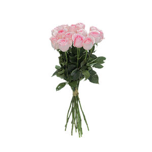 Роза Лучиано Э