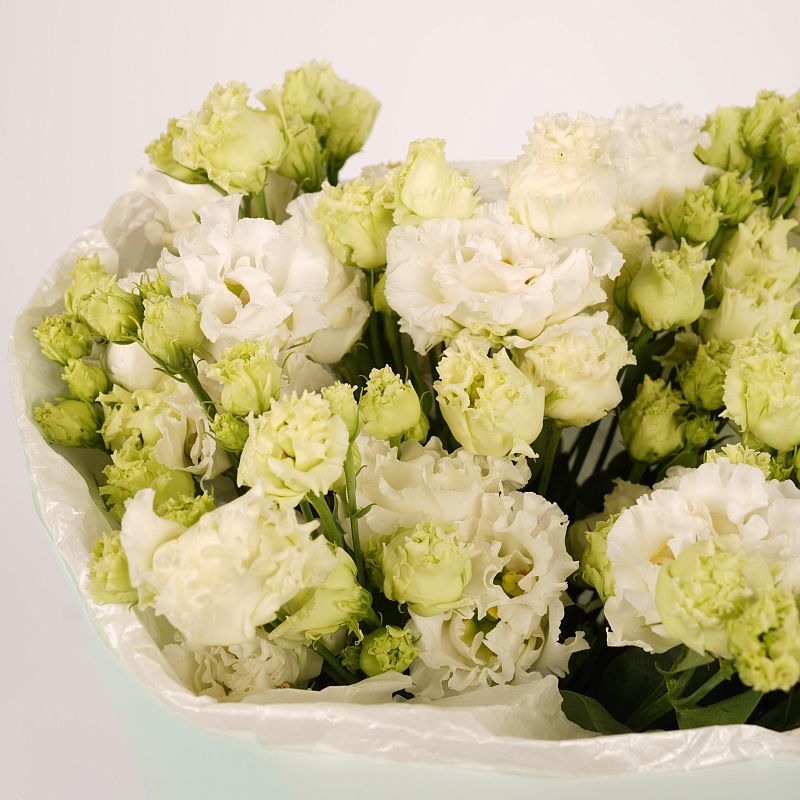 Белый лисиантус Алиса M фото