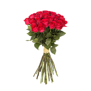 Роза Мадам Черри