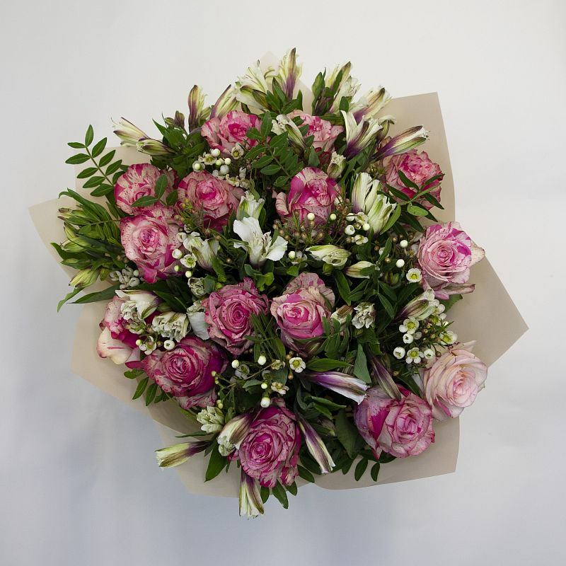 Приключение фото