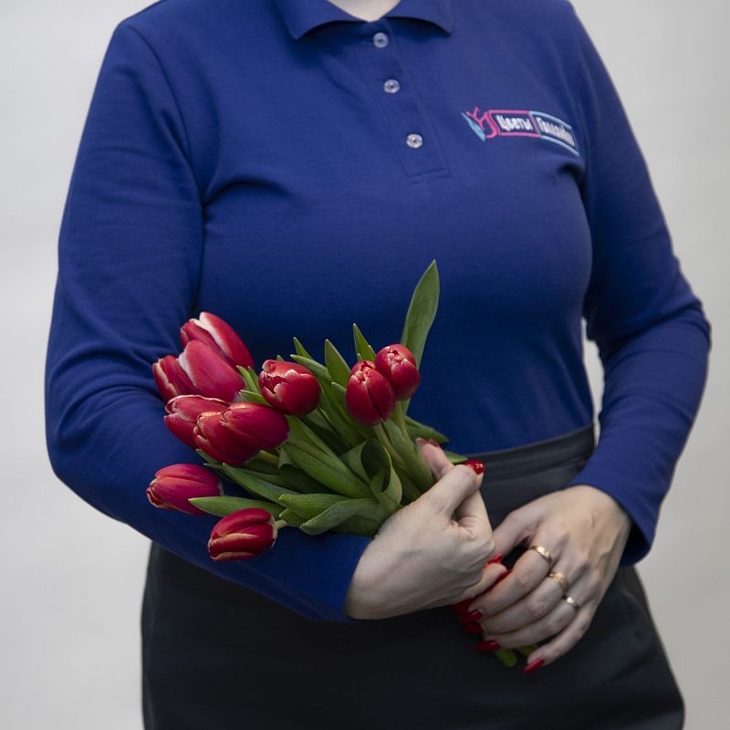 11 красных тюльпанов фото