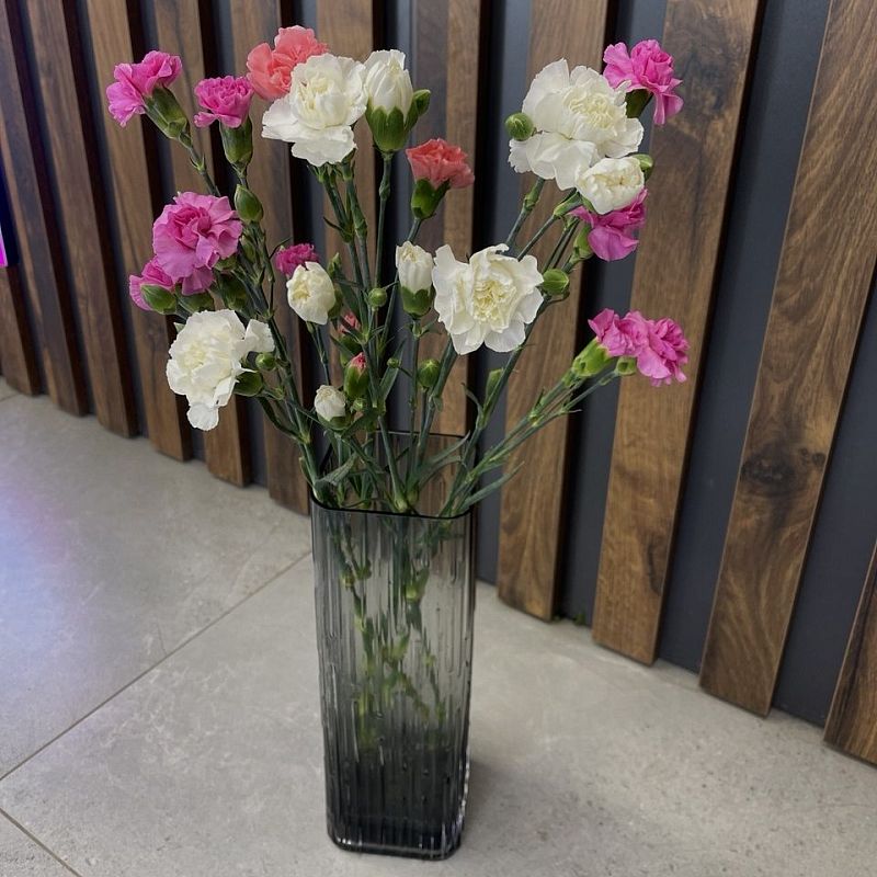 Кустовая гвоздика фото