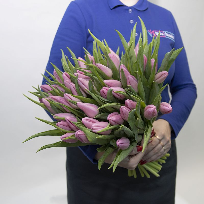 51 розовый тюльпан фото
